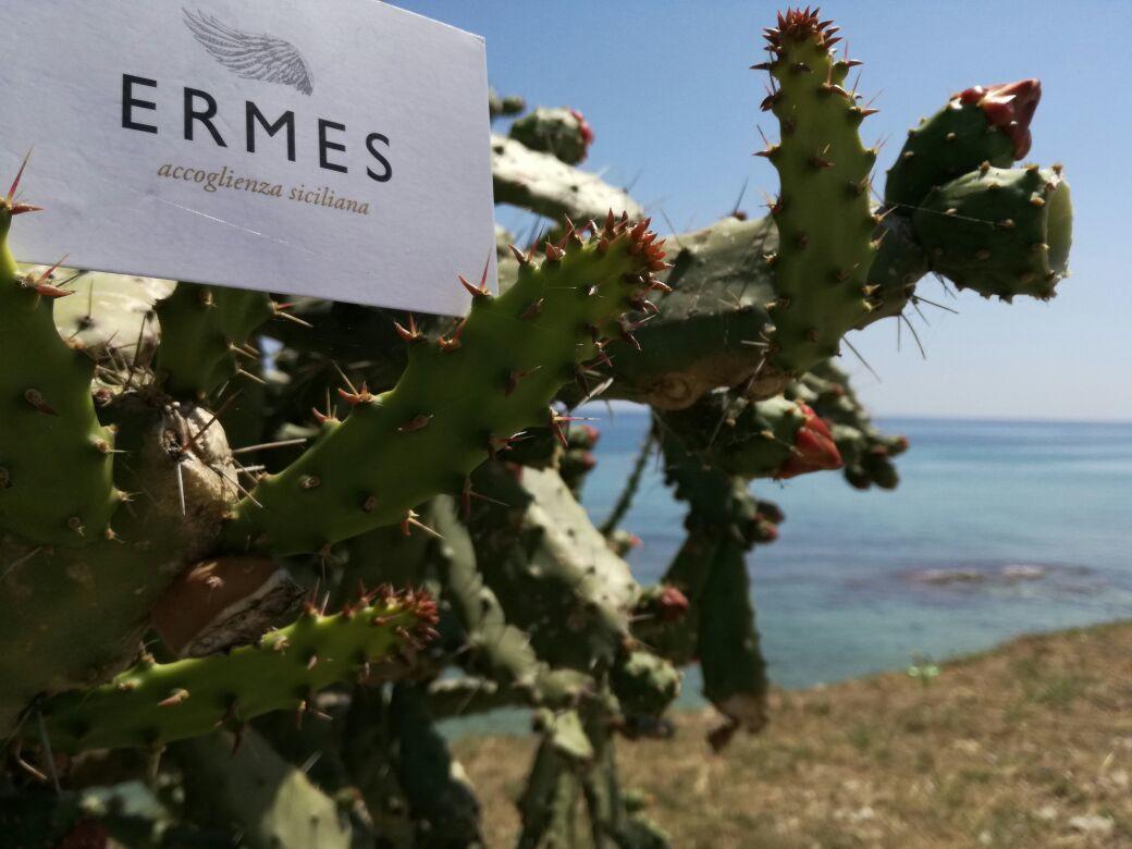 Ermes Bed & Breakfast Avola Dış mekan fotoğraf